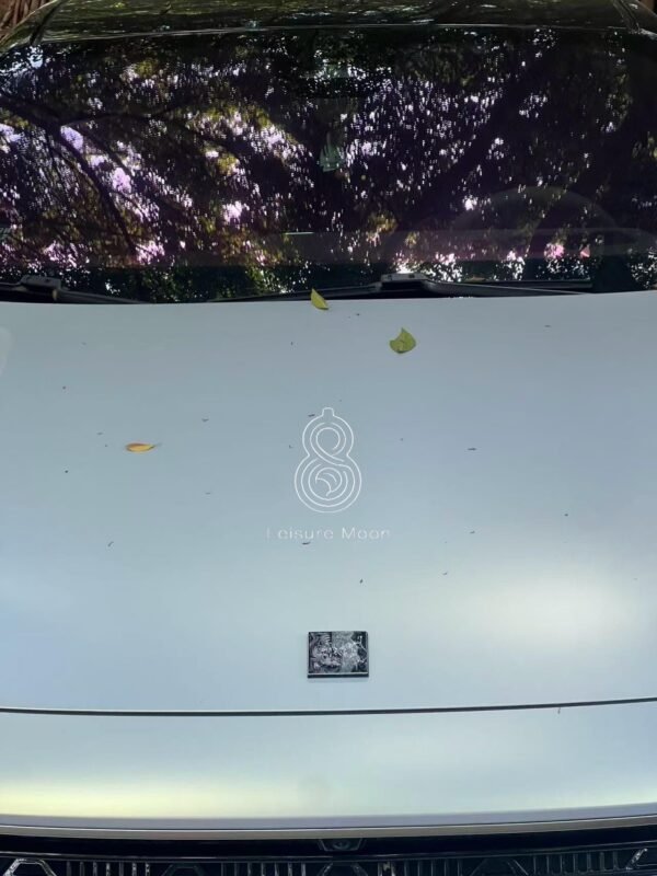 bold tiger cloisonné badge for lynk & co