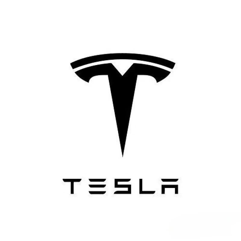 Tesla Cloisonné Emblem with Mountain River Art