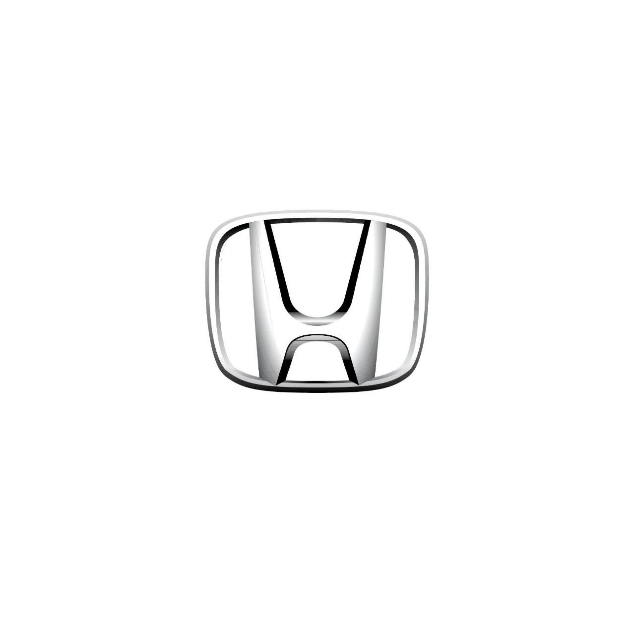 Tesla Cloisonné Emblem with Mountain River Art