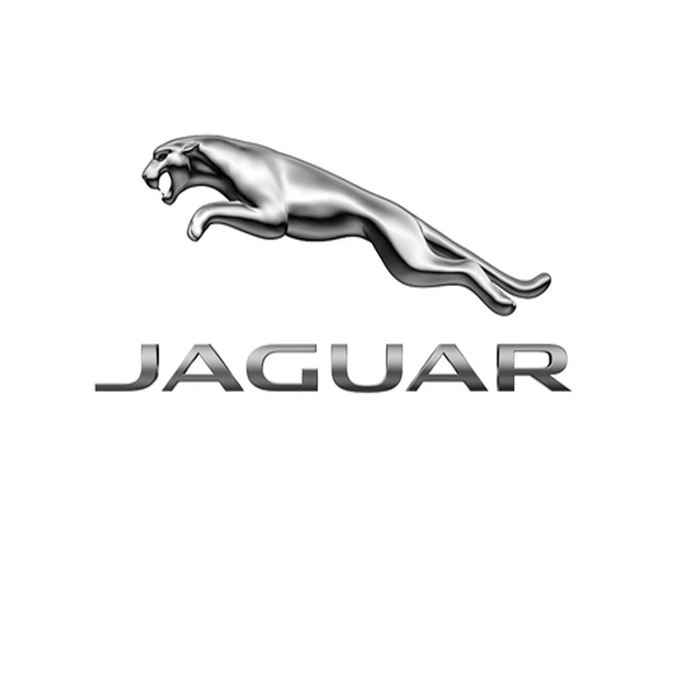 Tesla Cloisonné Emblem with Mountain River Art